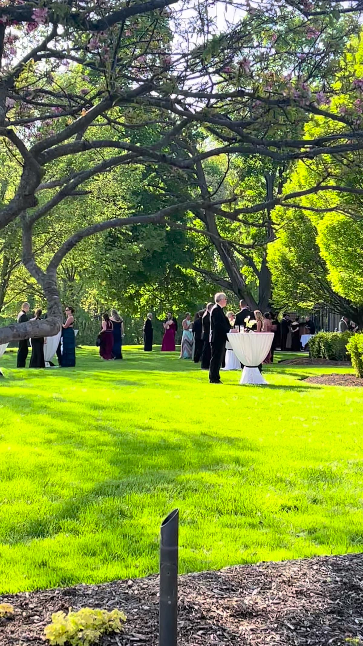 Wedding reception at Meadow Brook Hall in Rochester, MI, Michigan